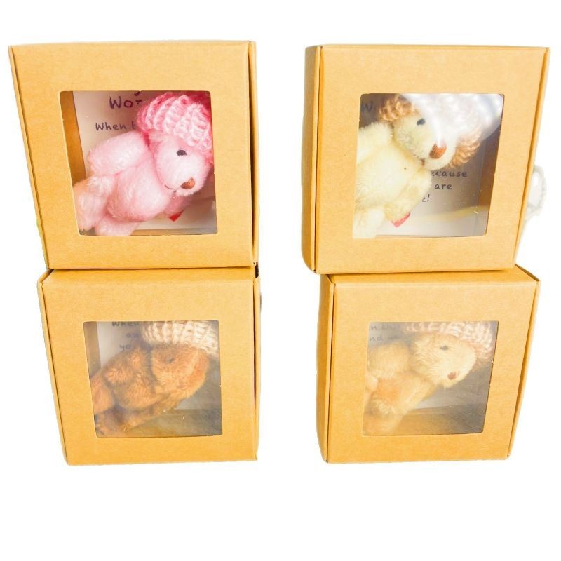 Pocket Teddy Mini Plush Bear Boxed Gift
